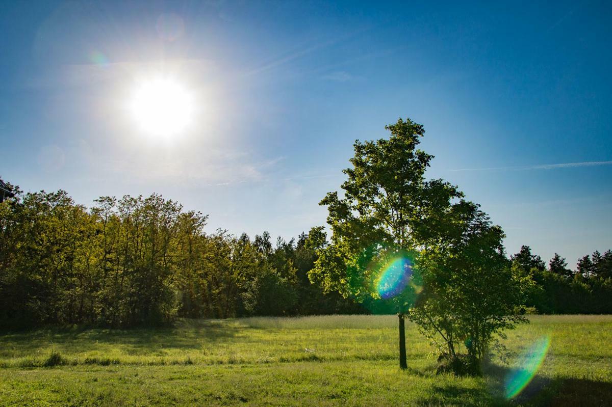 Stara Szkola Bauernhof Potok Senderski